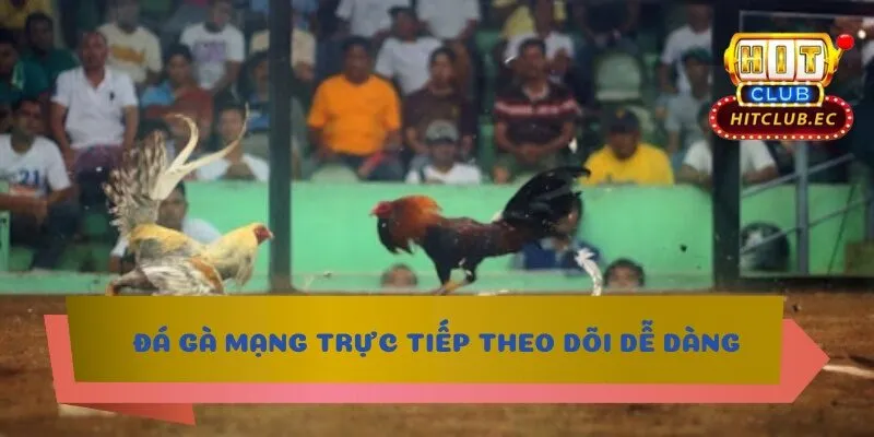 đá gà mạng trực tiếp theo dõi tiện ích