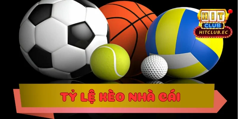tỷ lệ kèo nhà cái tìm hiểu